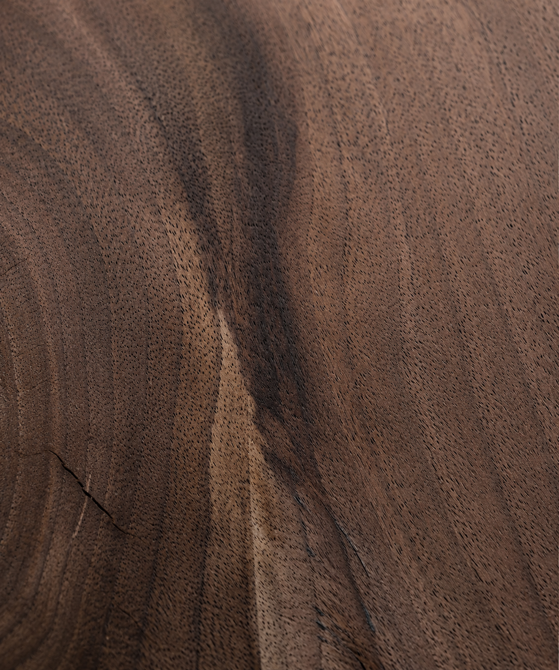 Close study of black walnut grain and natural tonal variation